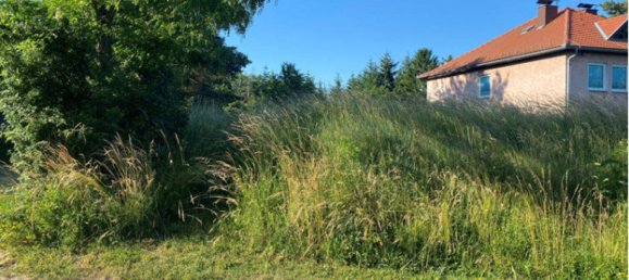  قطعة أرض في Hollabrunn, Austria 1500متر مربع رقم 247491 4