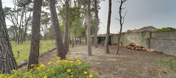 4 غرف نوم منزل في Gafanha da Encarnacao, Portugal رقم 174911 16