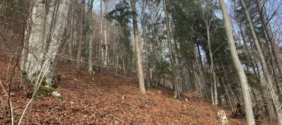  Commercial property in Eberstein, Austria No. 128839 6