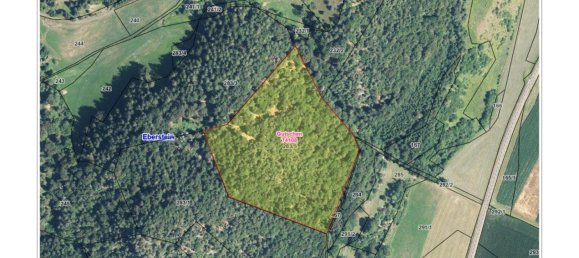  Commercial property in Eberstein, Austria No. 128839 7