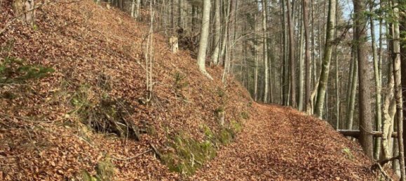  Commercial property in Eberstein, Austria No. 128839 5