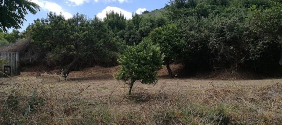 Grundstück in Pace del Mela, Italy 1800m², Nr. 70347 2