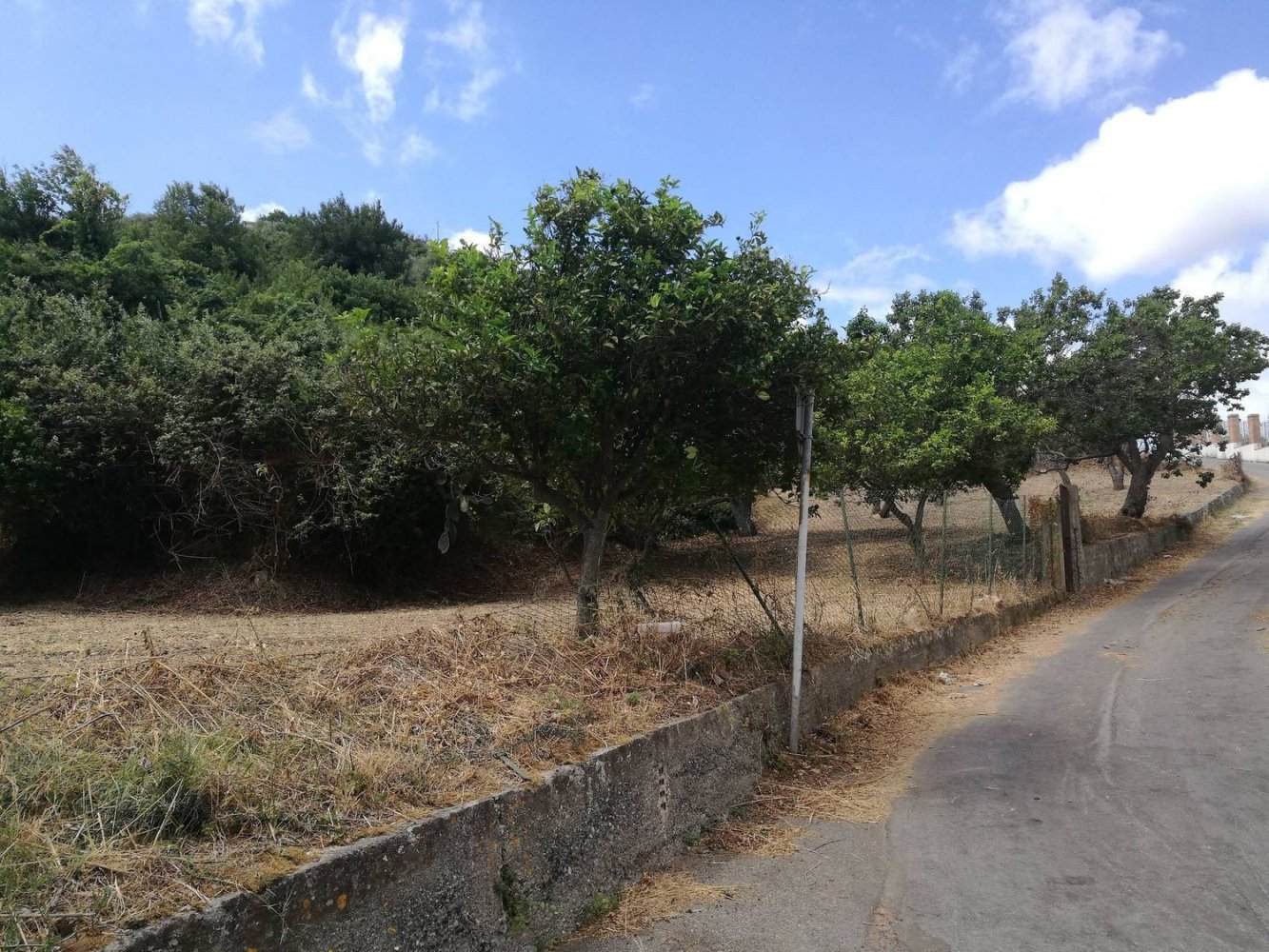 Grundstück in Pace del Mela, Italy 1800m², Nr. 70347