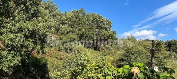 Grundstück in Locri, Italy 50000m², Nr. 343592 7