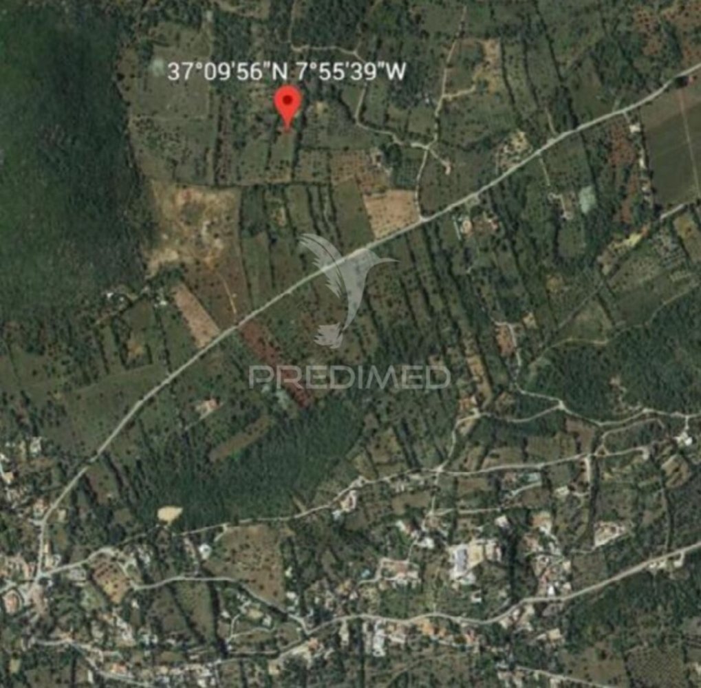  قطعة أرض في Sao Bras de Alportel, Portugal 16500متر مربع رقم 86079