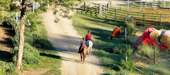 2 chambres Maison à Colinton, Australia No. 563 14