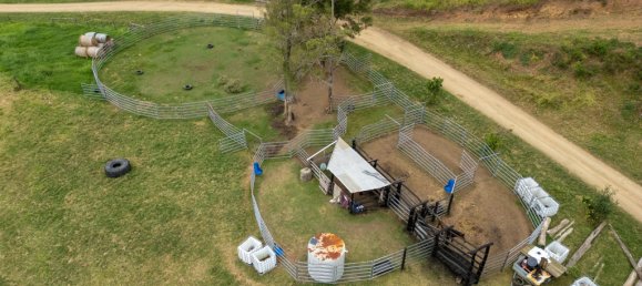 2 chambres Maison à Colinton, Australia No. 563 13