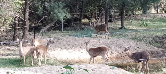 2 chambres Maison à Colinton, Australia No. 563 16