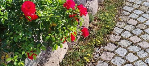 4 bedrooms House in Luneburg, Germany No. 218981 29