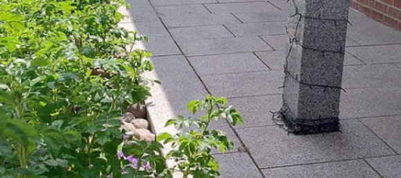 4 bedrooms House in Luneburg, Germany No. 218981 26