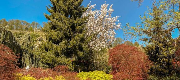 Вилла с 5 спальнями в Хайльбронн, Германия № 38052 47