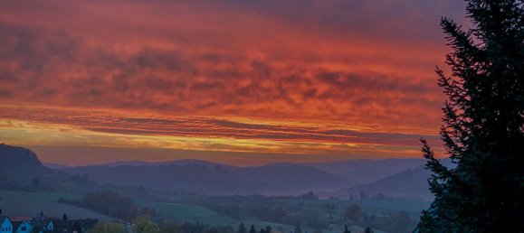 Вилла с 5 спальнями в Хайльбронн, Германия № 38052 26