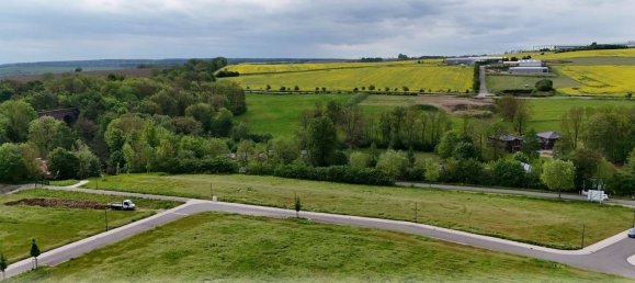  Land in Eichsfeld, Germany No. 155584 2