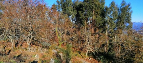 Grundstück in Arcos de Valdevez, Portugal 60m², Nr. 61479 9