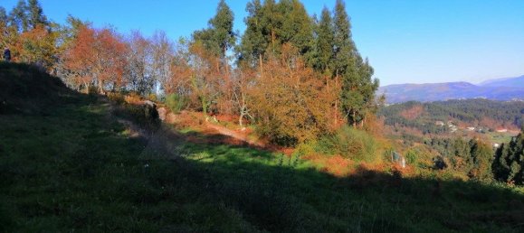 Grundstück in Arcos de Valdevez, Portugal 60m², Nr. 61479 10