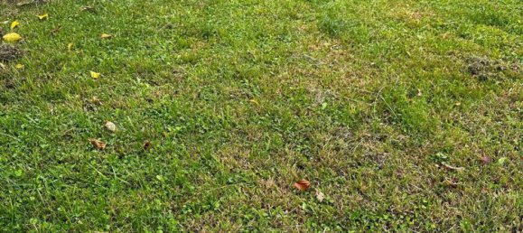 Terreno en Venice, Italy 820 m² No. 175917 4