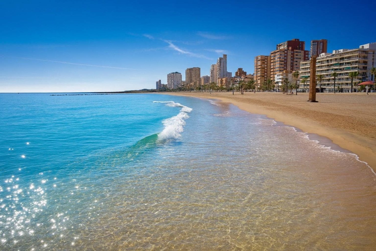 100 chambres Hôtel à Alicante, Spain No. 242977