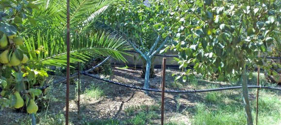 2 غرف نوم عقار تجاري في Xylokastro, Greece رقم 7637 14