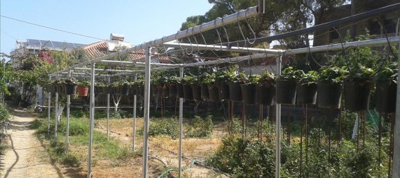 2 غرف نوم عقار تجاري في Xylokastro, Greece رقم 7637 21