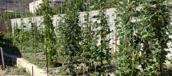 2 غرف نوم عقار تجاري في Xylokastro, Greece رقم 7637 11