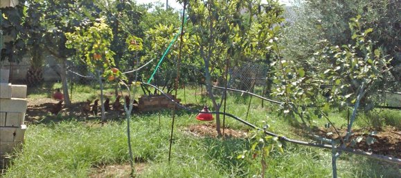 2 غرف نوم عقار تجاري في Xylokastro, Greece رقم 7637 13