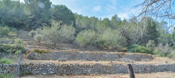 12000m² Land in Jalon, Spain No. 160955 3