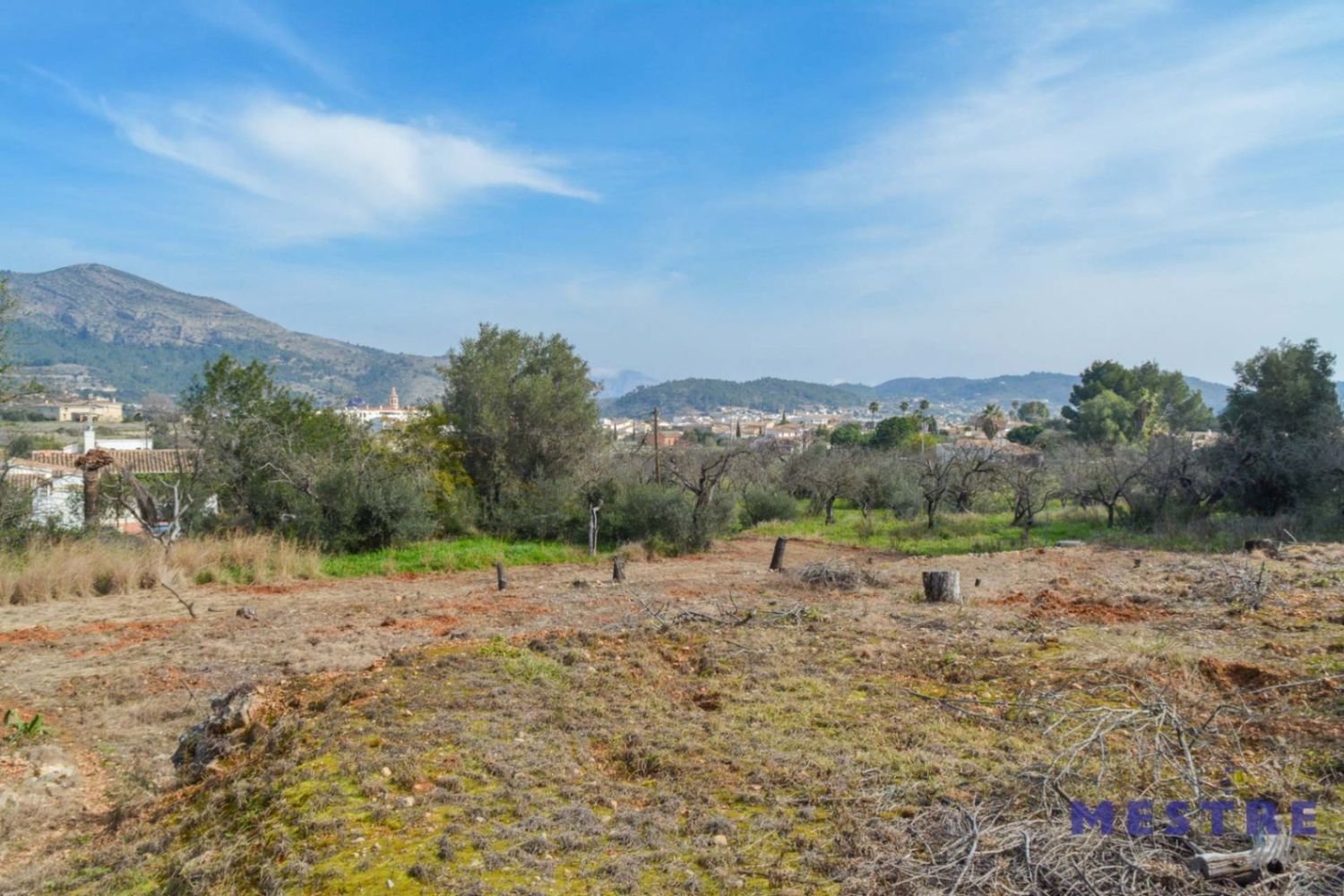 12000m² Land in Jalon, Spain No. 160955