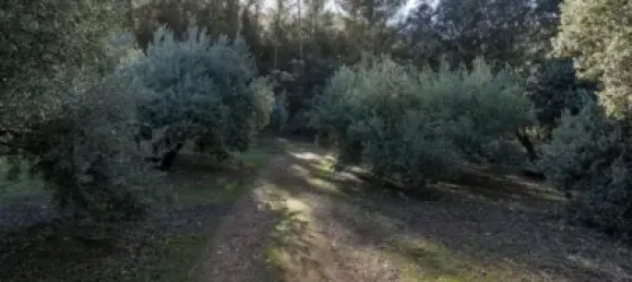  قطعة أرض في Granada, Spain رقم 108076 12