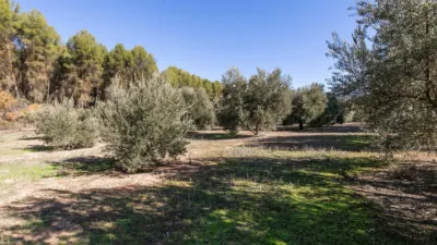  قطعة أرض في Granada, Spain رقم 108076