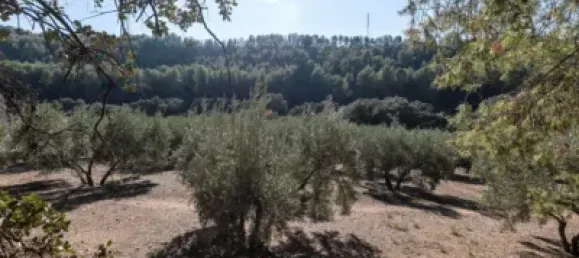  قطعة أرض في Granada, Spain رقم 108076 6