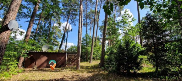 Terrain à Barnim, Germany No. 243750 5