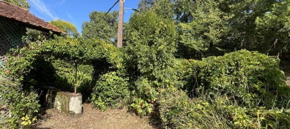 3 Schlafzimmer Haus in Occitanie, France, Nr. 351533 7