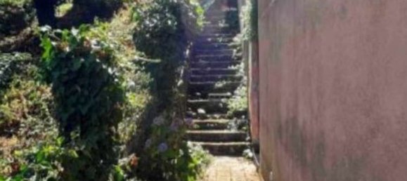 4-salle Appartement à Rocca di Papa, Italy No. 198673 13