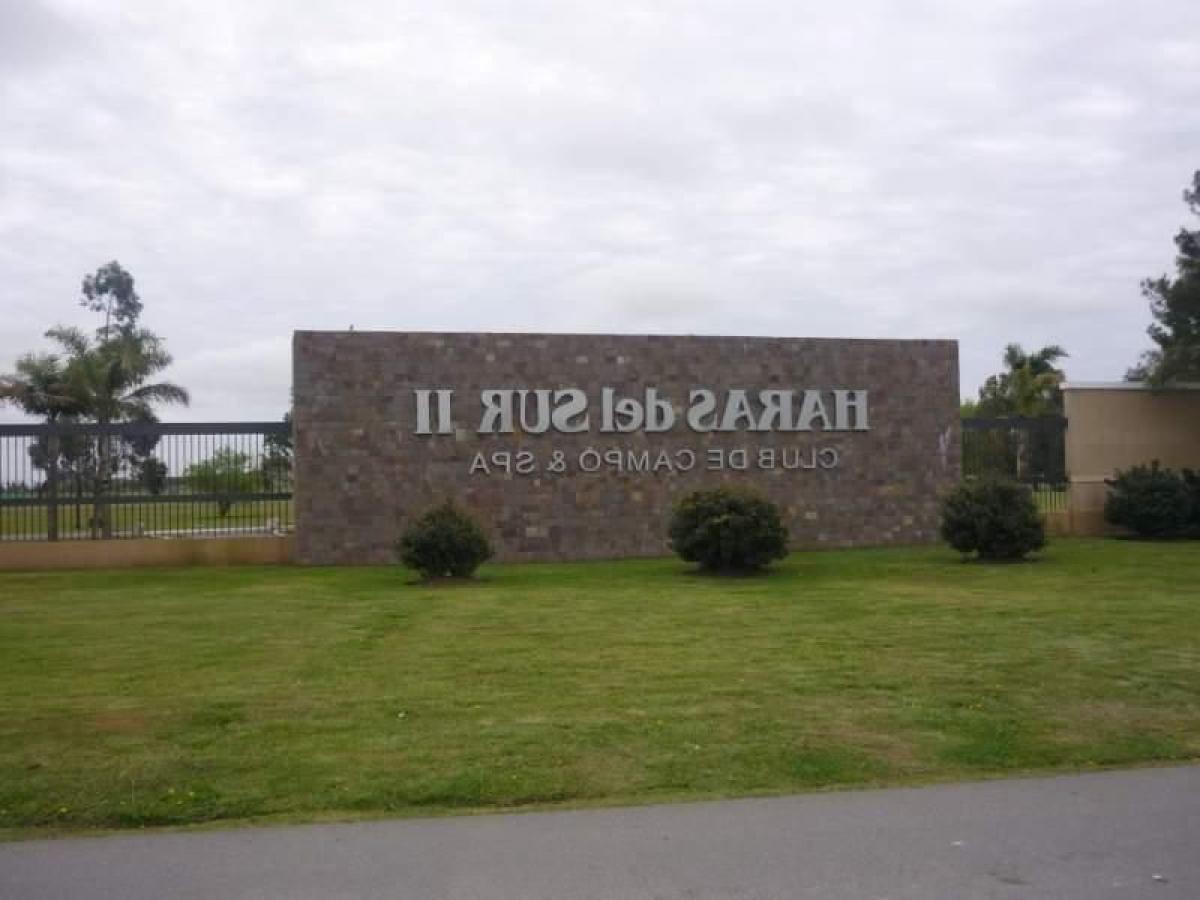  Land in Campo Creado, Argentina No. 31869