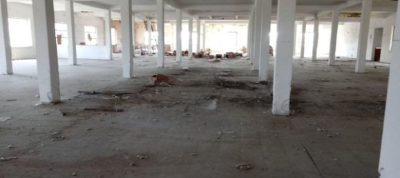 5غرفة مستودع في Palestro, Italy رقم 255005 3