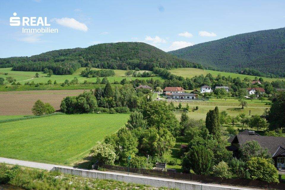2 rooms Apartment in Waldegg, Austria No. 231244