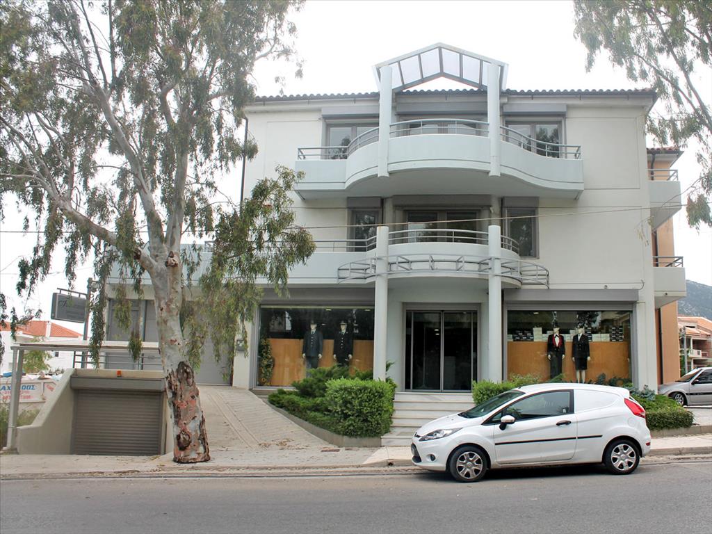 804m² Maisonette in Acharnes, Greece No. 7817