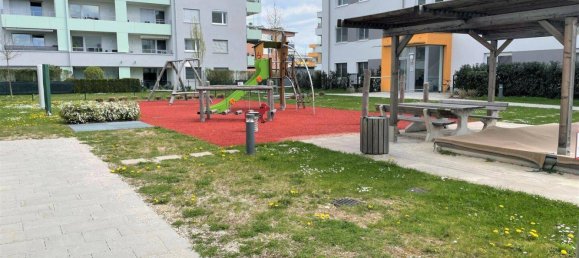 3-Zimmer Wohnung in Wels, Austria, Nr. 86330 10