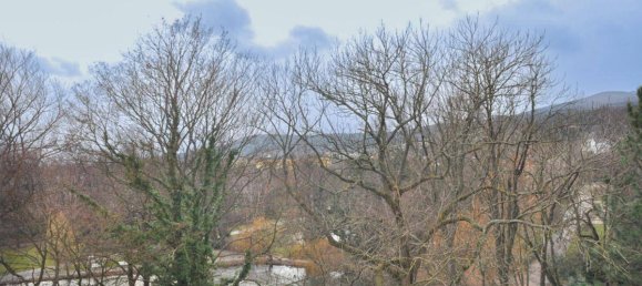 3 rooms Apartment in Baden, Austria No. 159115 2