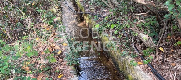 Terreno en Manzanares el Real, Spain No. 190306 31