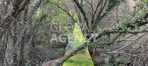 Terreno en Manzanares el Real, Spain No. 190306 24