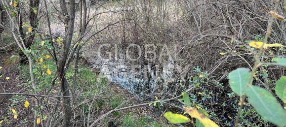Terreno en Manzanares el Real, Spain No. 190306 26
