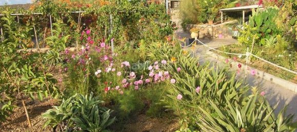 4 bedrooms House in San Miguel de Abona, Spain No. 129965 9