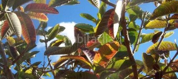 4 bedrooms House in San Miguel de Abona, Spain No. 129965 23