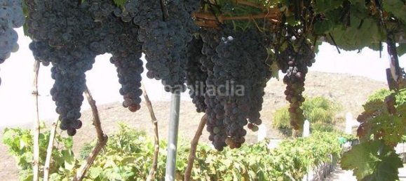 4 bedrooms House in San Miguel de Abona, Spain No. 129965 11