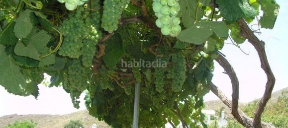 4 bedrooms House in San Miguel de Abona, Spain No. 129965 16