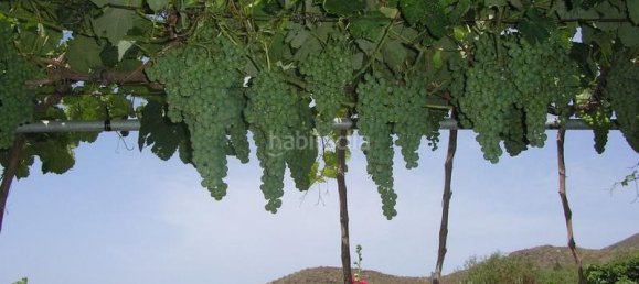 4 bedrooms House in San Miguel de Abona, Spain No. 129965 14