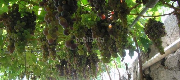 4 bedrooms House in San Miguel de Abona, Spain No. 129965 8