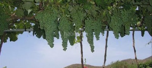 4 bedrooms House in San Miguel de Abona, Spain No. 129965 15