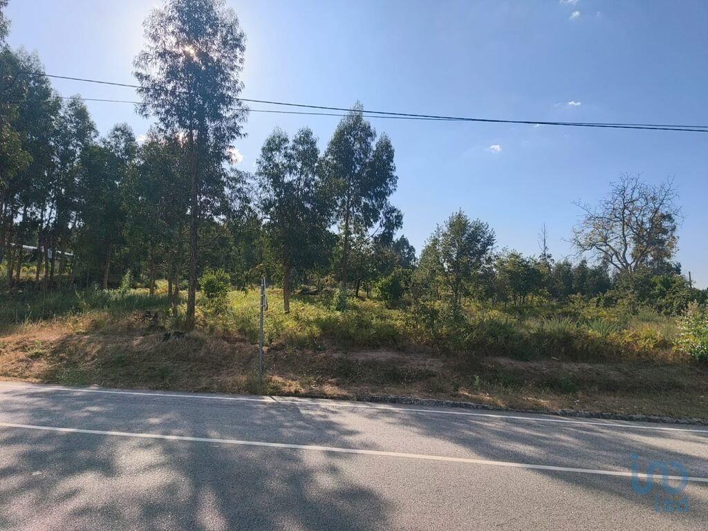  قطعة أرض في Oliveira do Hospital, Portugal 6100متر مربع رقم 336627